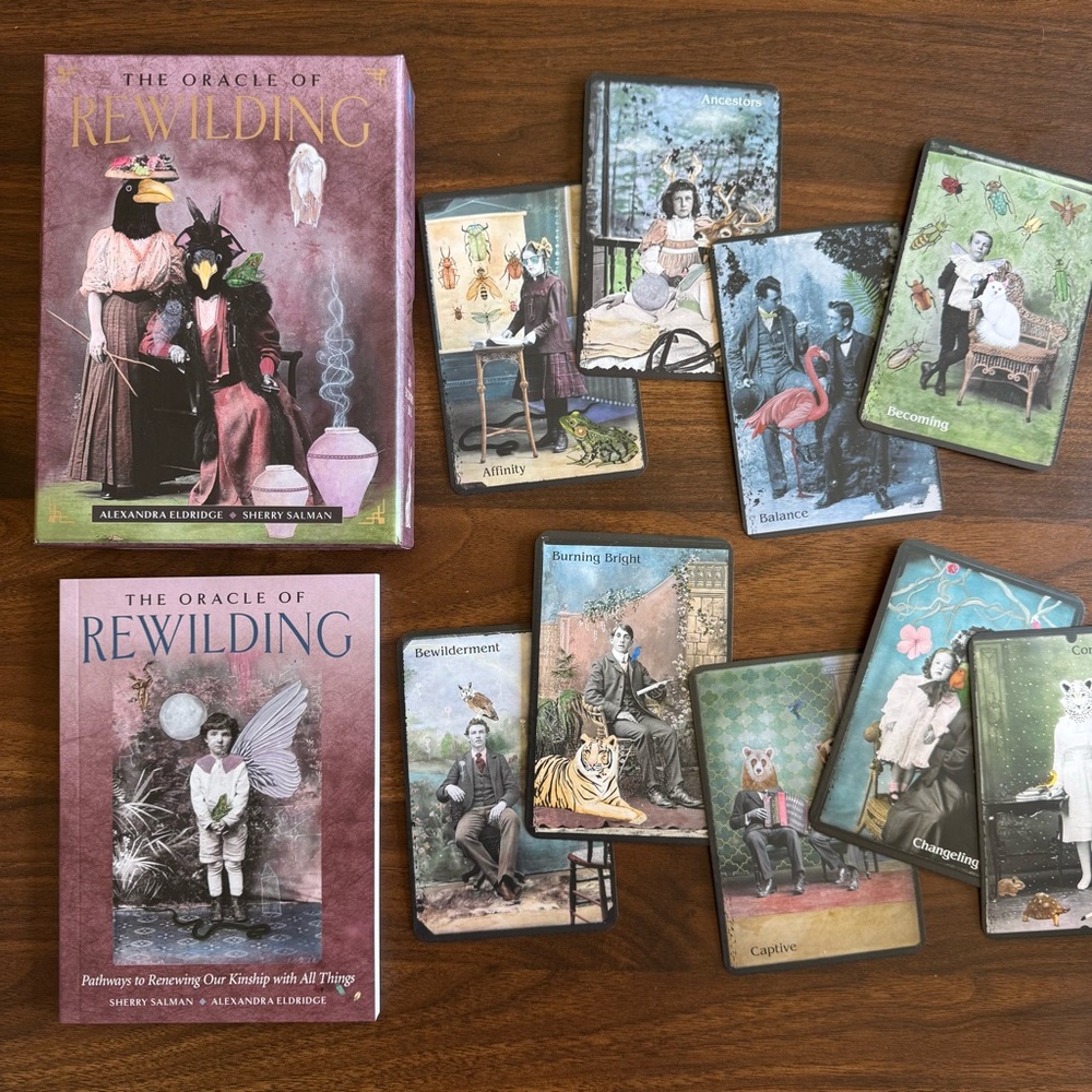 ✨SOLD✨ The Oracle of Rewilding — Oracle deck